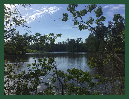 Announcing a New Opportunity to Purchase Acreage Homesites and Enjoy Lakefront Living at The Commons of Lake Houston
