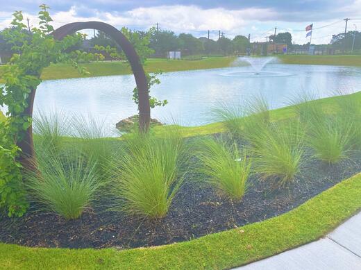 Featured Community: Live In Town at Agua Estates