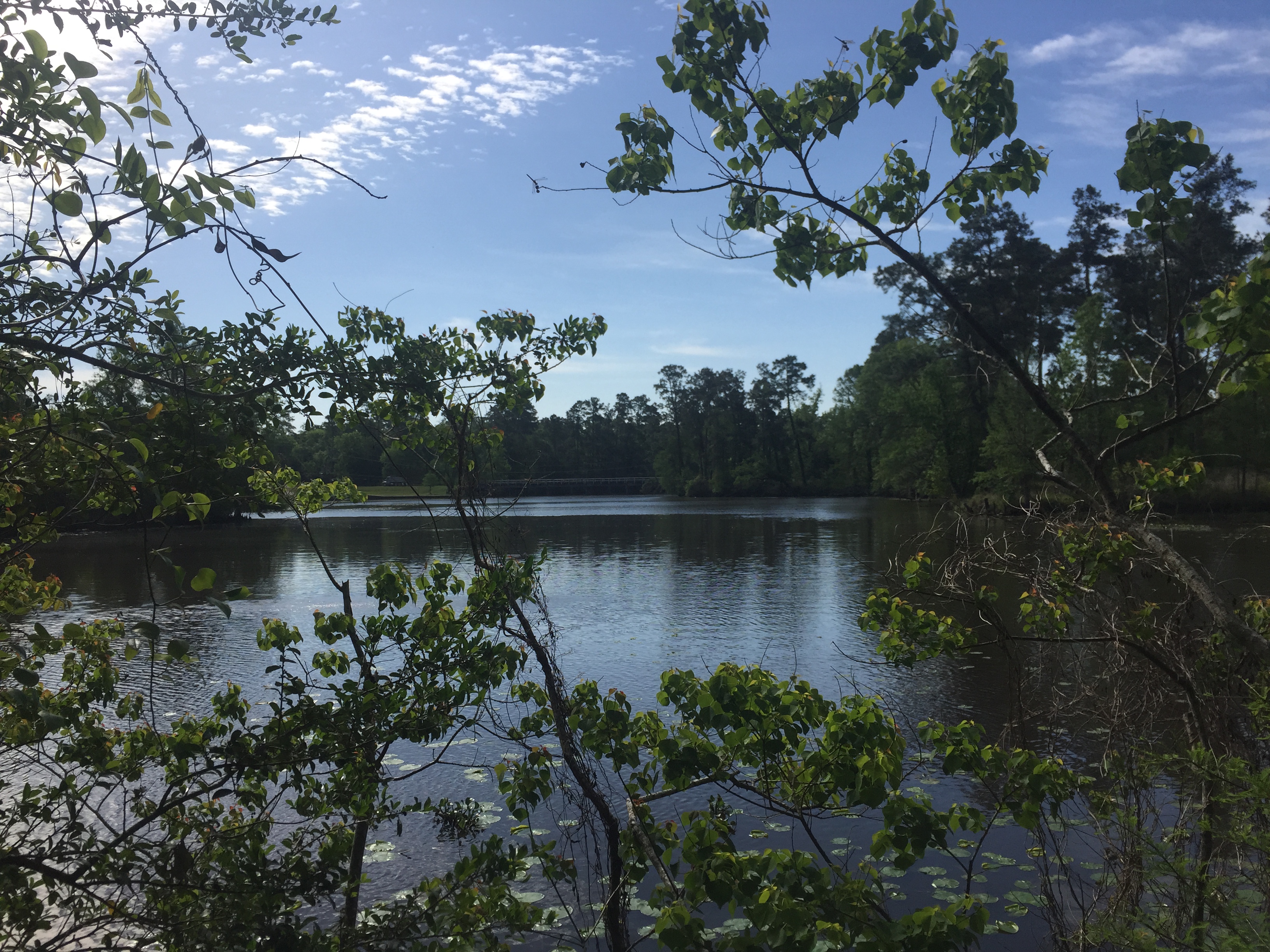 The Retreat at The Commons of Lake Houston