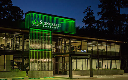 Signorelli