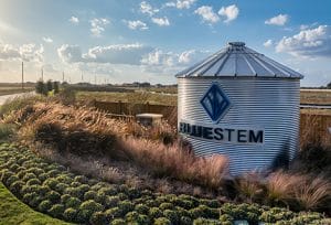 Bluestem image